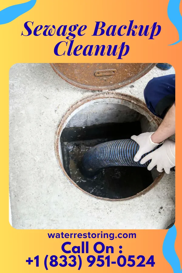 Sewage Backup Cleanup in Snellville, GA